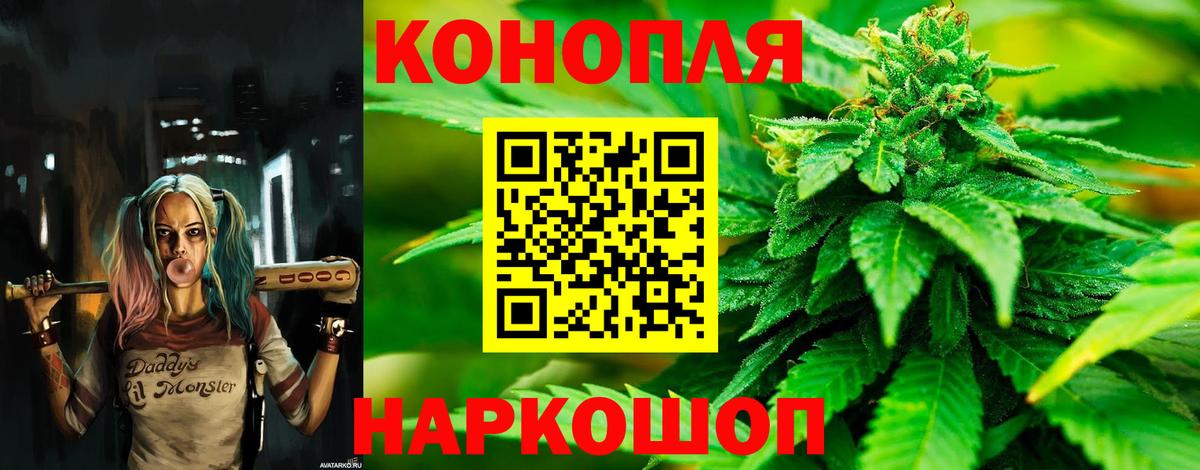 Шишки марихуана марихуана Калач-на-Дону